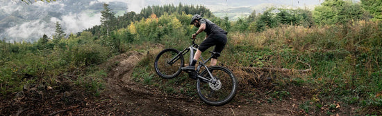 Carver E-Mountainbike Fully