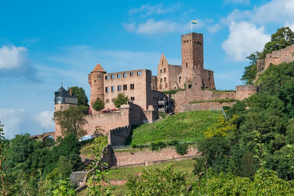 Mainradweg, Burg Wertheim, Carver Bikes